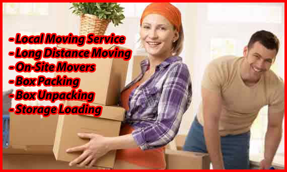 Packers And Movers Noida Sector 115